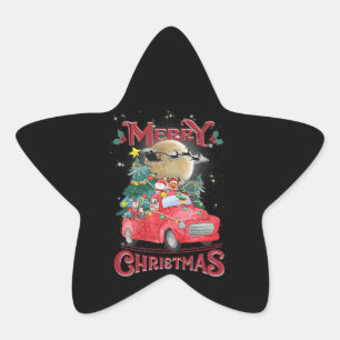 Frohe Weihnachten Vintage roter Santa-LKW Stern-Aufkleber