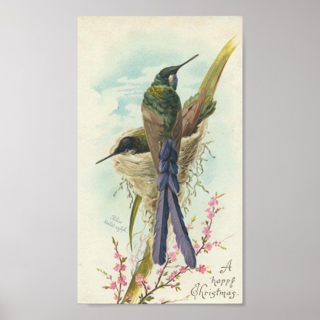 Frohe Weihnachten Vintagen Hummingbird Poster (Vorne)