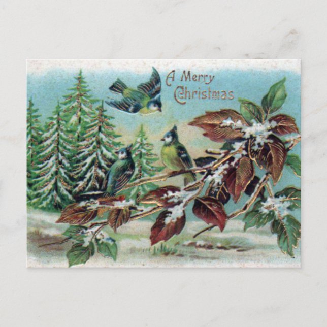 Frohe Weihnachten Vintagen Winterwaldvögel Postkarte (Vorderseite)