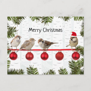 Frohe Weihnachten Vögel auf einem Ast