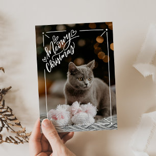 Frohe Weihnachten Vollbild Katzen-Haustier