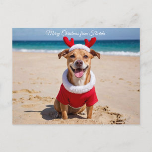 Frohe Weihnachten vom Florida-Strand
