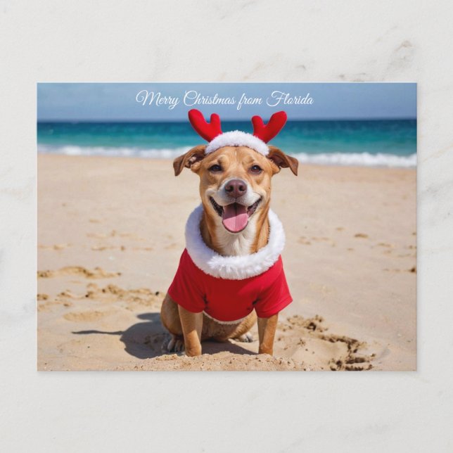 Frohe Weihnachten vom Florida-Strand (Vorderseite)