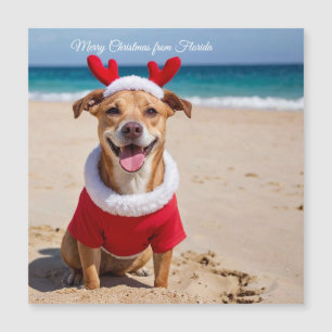 Frohe Weihnachten vom Florida-Strand Magnetkarte