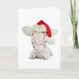 Frohe Weihnachten vom Kaninchen