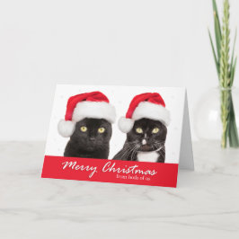 Frohe Weihnachten von beiden US Katzen in Weihnach