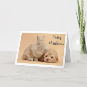 **FROHE WEIHNACHTEN** von BUNNY & PUPPY Feiertagskarte