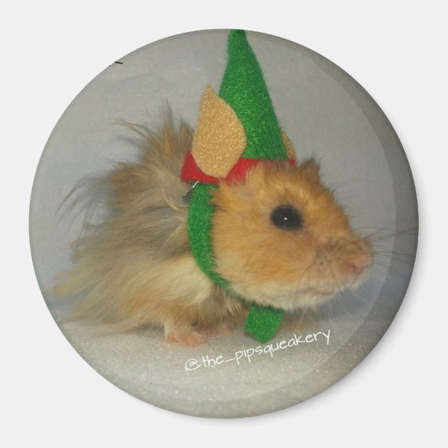 Frohe Weihnachten von Chuck the Elf Magnet (Vorne)