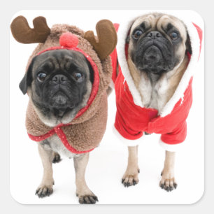 Frohe Weihnachten von den Mops Quadratischer Aufkleber