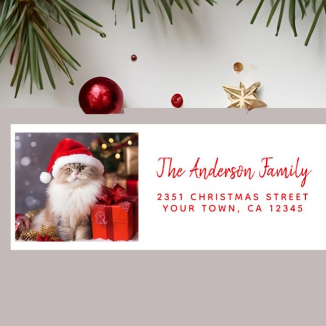 Frohe Weihnachten von der Katze in einer Weihnacht (Von Creator hochgeladen)