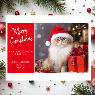 Frohe Weihnachten von der Katze mit dem Weihnachts