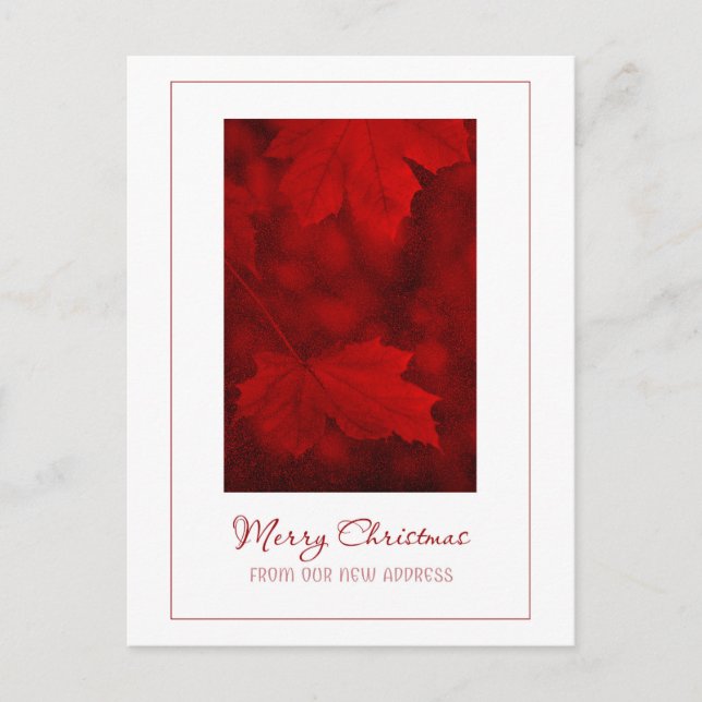 Frohe Weihnachten von der neuen Adresse Postkarte (Vorderseite)