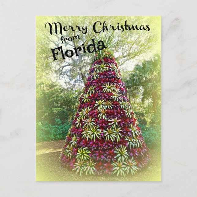 Frohe Weihnachten von Florida Bromeliad Tree Postkarte (Vorderseite)