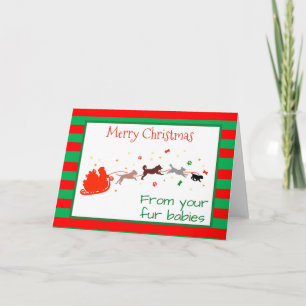 Frohe Weihnachten von Hunden Multiple Pets Card Karte