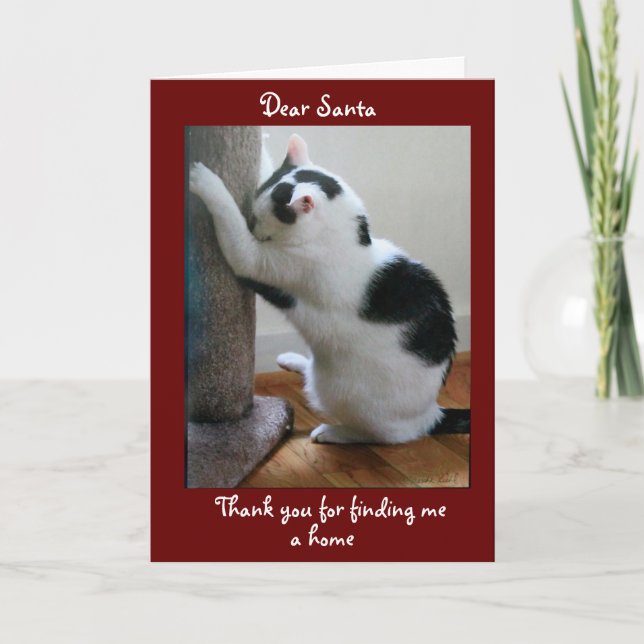 Frohe Weihnachten von Ihrer Adoptiert Katze Karte (Vorderseite)