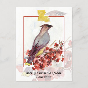 Frohe Weihnachten von Louisiana Cedar Waxwing Bird