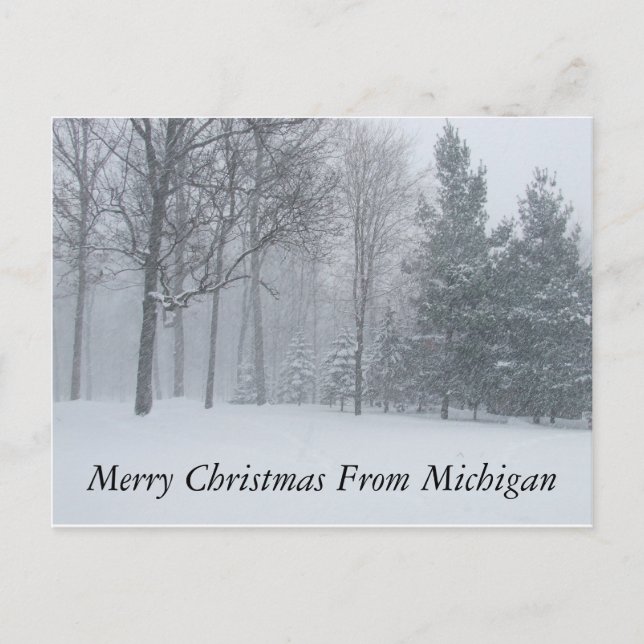 Frohe Weihnachten von Michigan Winter Snow Postca (Vorderseite)