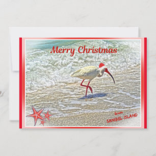 Frohe Weihnachten von Sanibel Island FL White Ibis