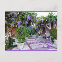 Frohe Weihnachten von Sunny Florida Purple Blumen