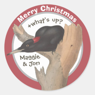 Frohe Weihnachten +Was ist los? John Gould Woodpec Runder Aufkleber