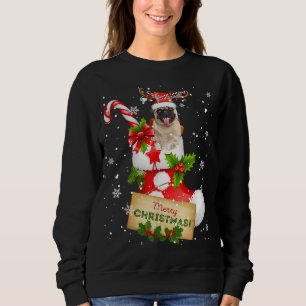 Frohe Weihnachten Weihnachten Lichter Santa Reinde Sweatshirt