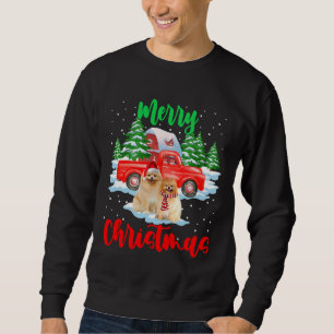 Frohe Weihnachten Weihnachten Spitz Truck Sweatshirt