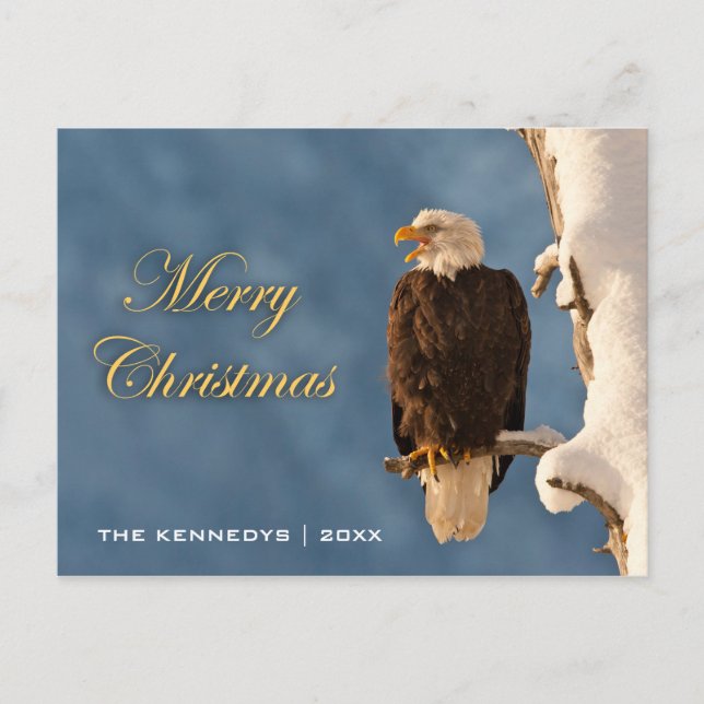 Frohe Weihnachten - Weißkopfseeadler auf Sitzplatz (Vorderseite)