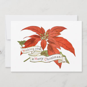 Frohe Weihnachten wünscht Red Poinsettia Blume Vin