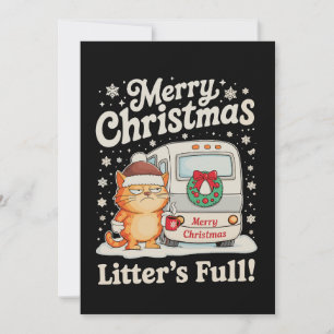 Frohe Weihnachten Wurf Vollkatze Weihnachten Urlau