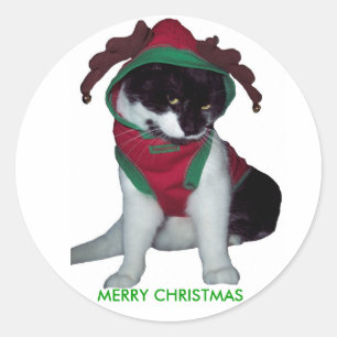 FROHE WEIHNACHTENcat-AUFKLEBER Runder Aufkleber