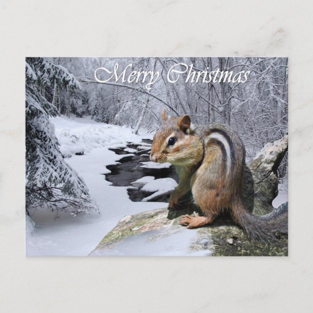 Frohe Weihnachtenchipmunk-Postkarte Feiertagspostkarte (Vorderseite)