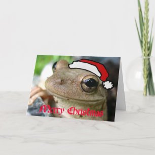 Frohe WeihnachtenFroggy Feiertagskarte
