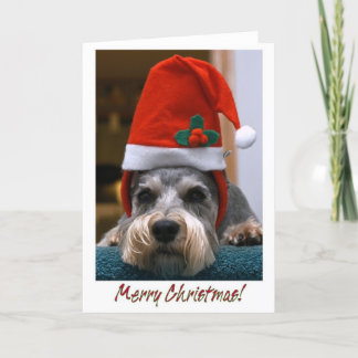 Frohe WeihnachtenSchnauzer Feiertagskarte