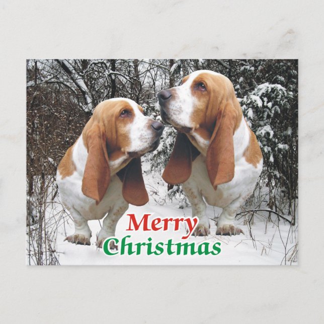 Frohe Weihnachts-Basset-Hunde Feiertagspostkarte (Vorderseite)