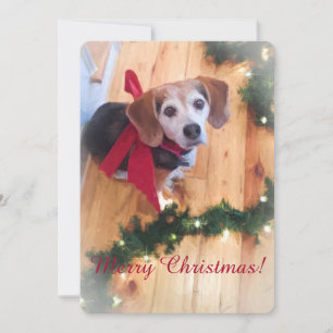 Frohe Weihnachts-Beagle-Flachkarte Feiertagskarte