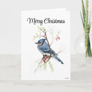 Frohe Weihnachts Blue Jay Holiday Card Karte