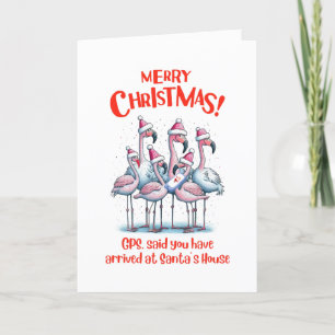 Frohe Weihnachts Flamingos Besuch Santa Programm