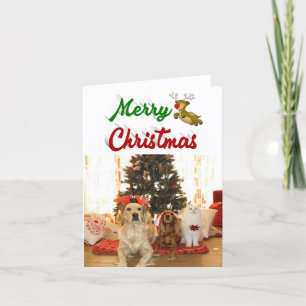 Frohe Weihnachts-Flying Rentier-Foto-Skript Feiertagskarte