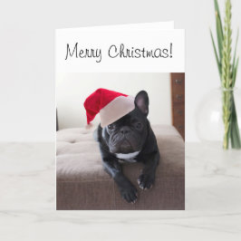 Frohe Weihnachts-Franchie-Karte Feiertagskarte