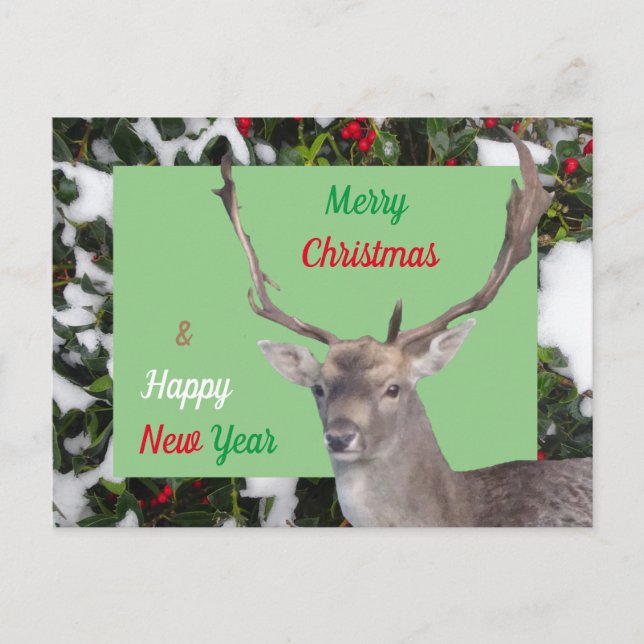 Frohe Weihnachts-Hirsch und Holly Postcard Postkarte (Vorderseite)