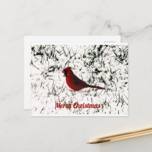 Frohe Weihnachts-Kardinal-Flachkarte Postkarte