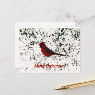 Frohe Weihnachts-Kardinal-Flachkarte Postkarte