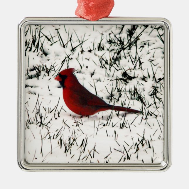 Frohe Weihnachts-Kardinal Ornament Aus Metall (Vorne)