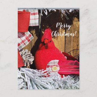 Frohe Weihnachts-Kardinal Postkarte