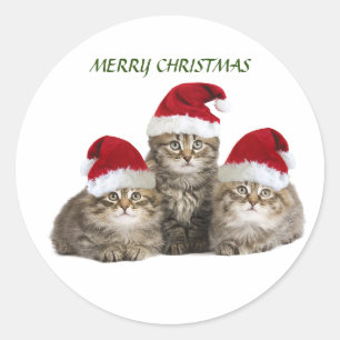 Frohe Weihnachts-Kittens-Aufkleber Runder Aufkleber