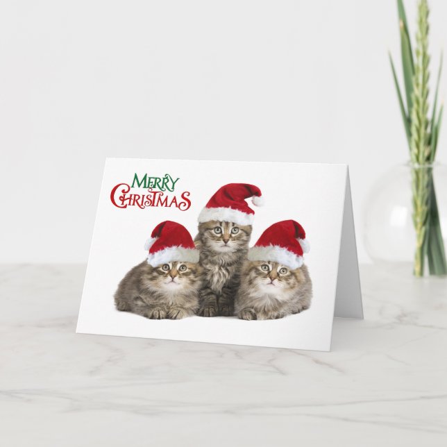 Frohe Weihnachts Kittens Feiertagskarte (Vorderseite)