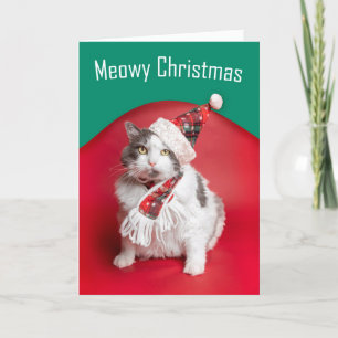 Frohe Weihnachts Niedliche Katze in Holiday Hat un Feiertagskarte