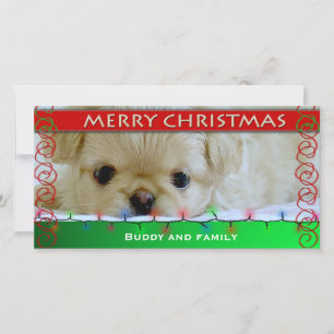 Frohe Weihnachts Personalisierte Dog Fotokarte Feiertagskarte
