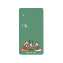 Frohe Weihnachts Pit Bull Hunde