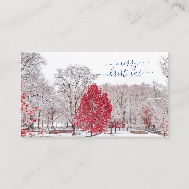 Frohe Weihnachts-Platzkarten Platzkarte (Vorderseite)